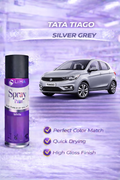 Silver Grey (Tata Tiago Color Match) | High Gloss Quick Dry Finish