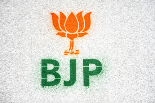 BJP Lotus Wall Painting Stencil 1 x 1.5 ft