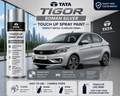 Tata Tigor Roman Silver Touch Up Spray Paint | OEM Automotive Aerosol Paint for Scratch Repair