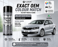 Skoda Rapid 2013 Brilliant Silver Metallic PU Spray Paint – OEM Factory Match Car Paint | LIHA Aerosols