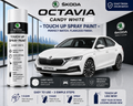 Skoda Octavia Candy White Touch Up Spray Paint | OEM Automotive Aerosol Paint for Scratch Repair